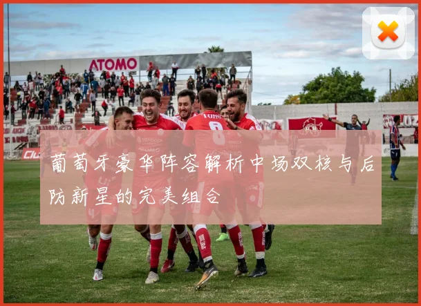 葡萄牙豪华阵容解析中场双核与后防新星的完美组合