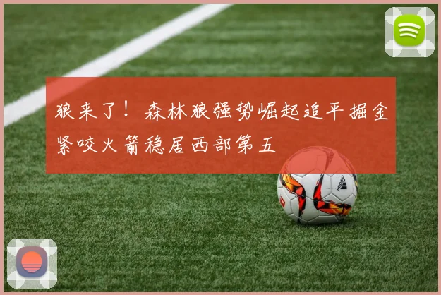 狼来了！森林狼强势崛起追平掘金紧咬火箭稳居西部第五