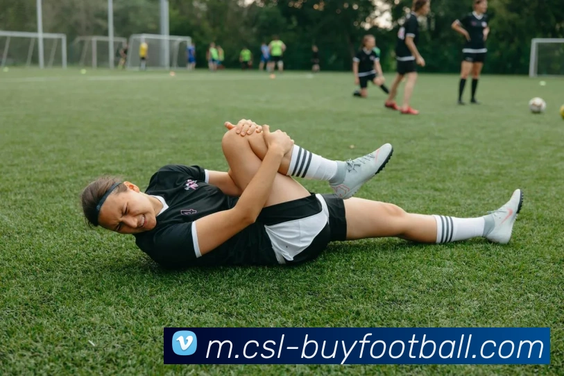 中超买球官网平台生态图