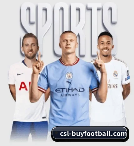 中超买球官网 APP 深度功能 - CSLBuyBalls